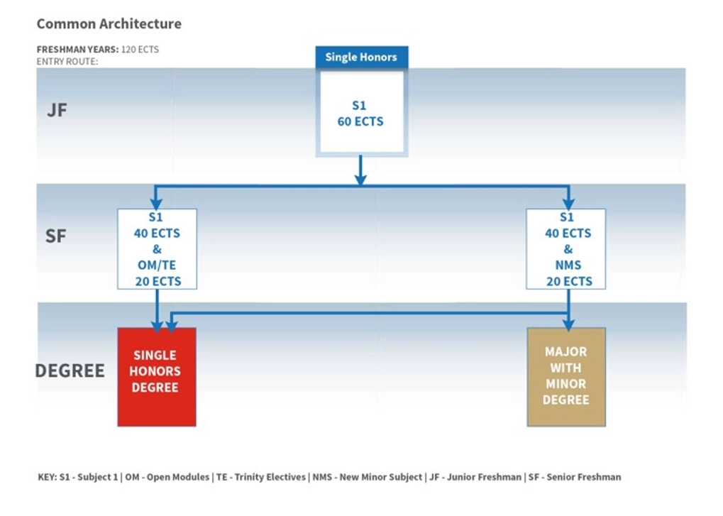 Image shows the single honours undergraduate pathway. In First year, or junior fresh year, the student takes one subject for the full 60 ECTS credits. In second year the student can add a new minor subject for 20 ECTS, and enter the Major with minor pathway. Or the student can stay in the single honours pathway, and take 20 ECTS of open modules and electives along with the compulsory 40 ECTS.