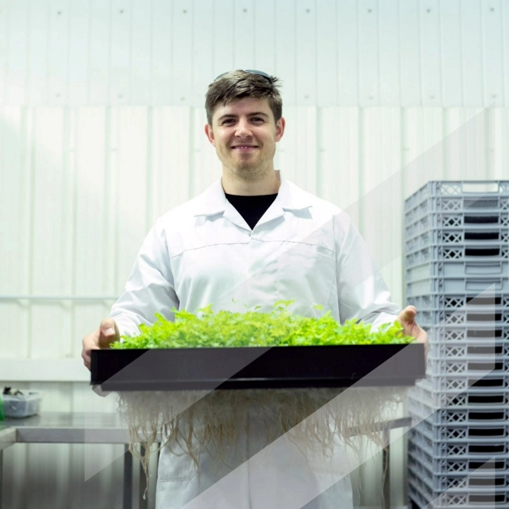 A student holding new seedlings in a container with a glass to floor window behind him