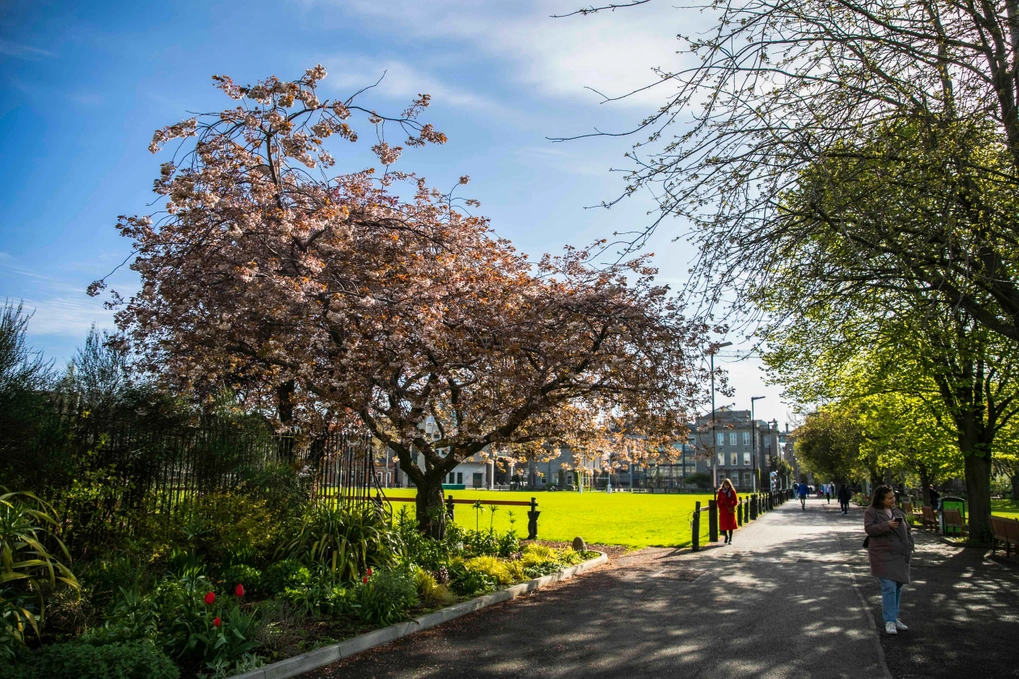 A path alongside the cricket pitch
