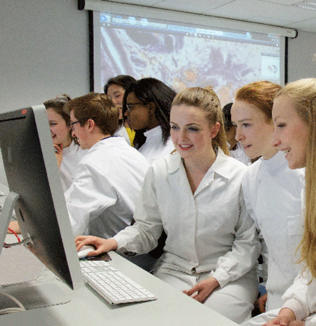 Undergraduate medical students in class