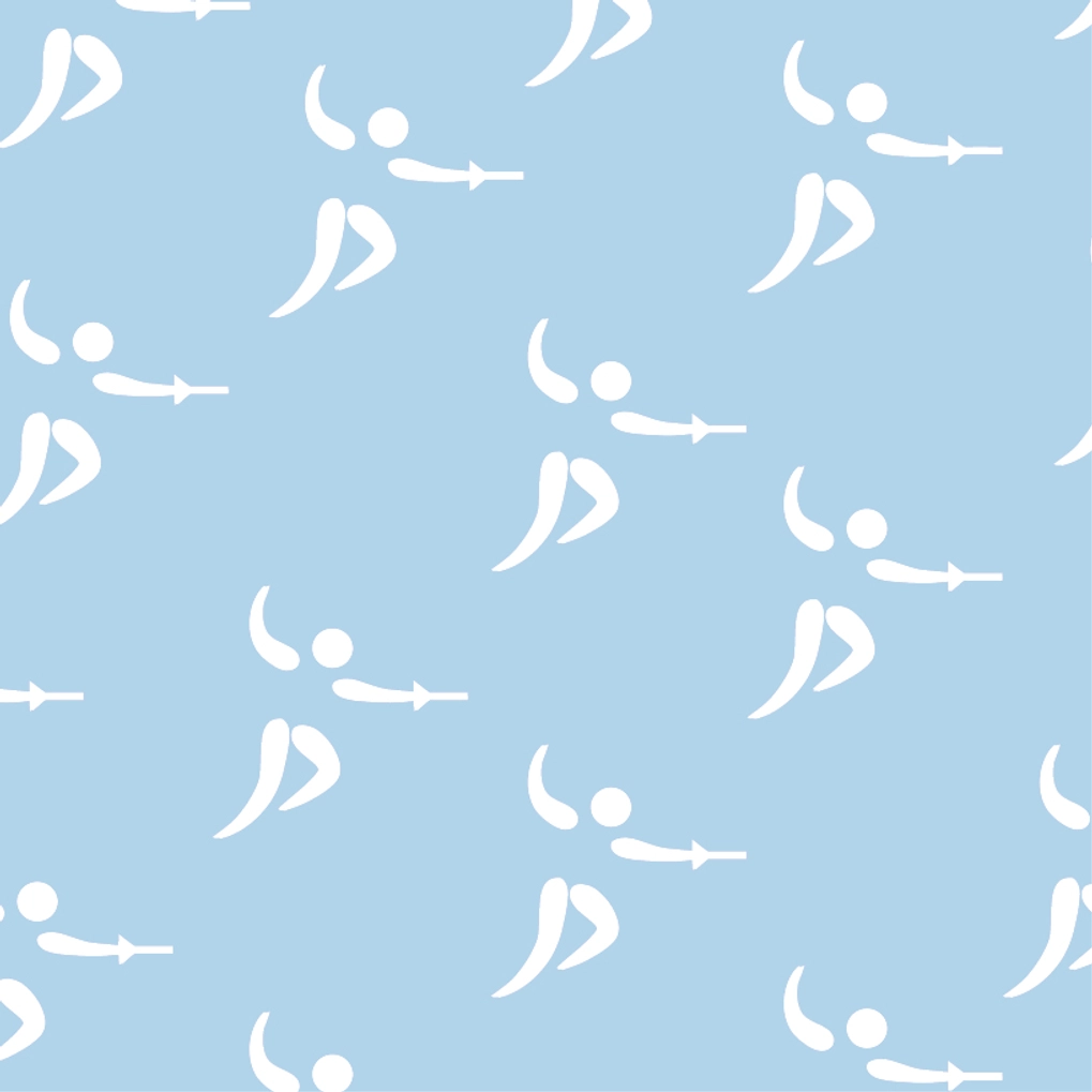 Fencing Illustration of fencing