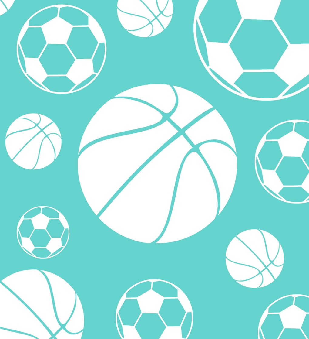 Illustration of Multi-Sport Balls