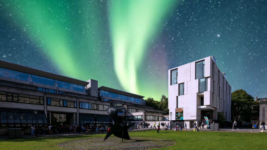 Season’s Greetings from the Trinity Long Room Hub