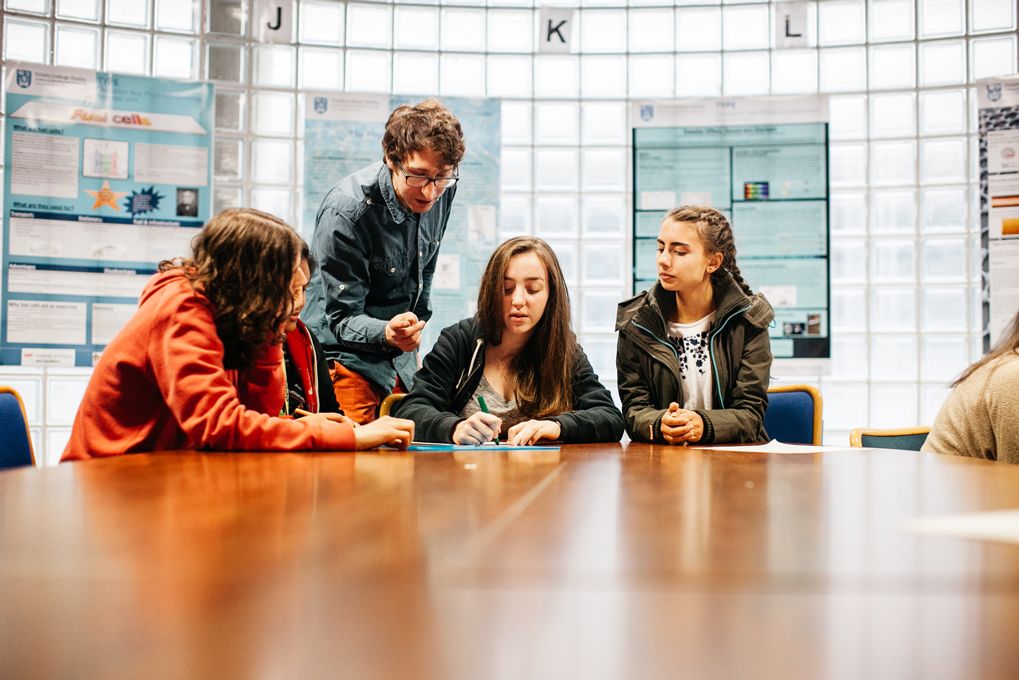 Innovator 2 (6th years)