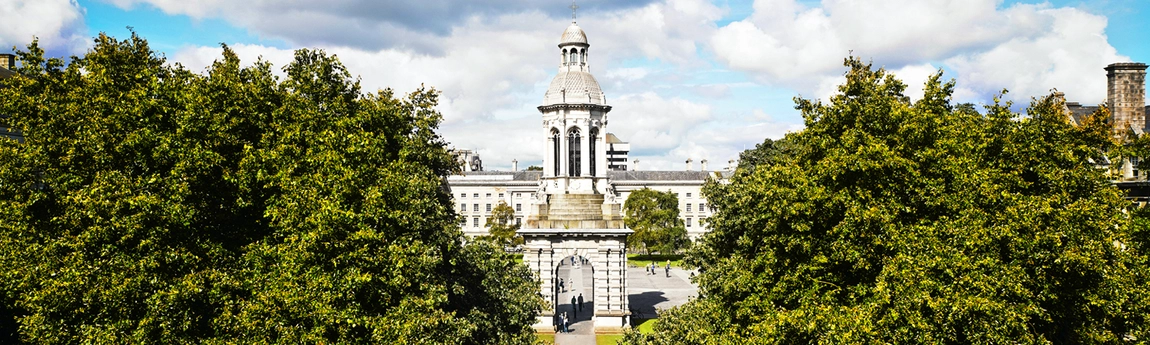 Home Campanile Trees