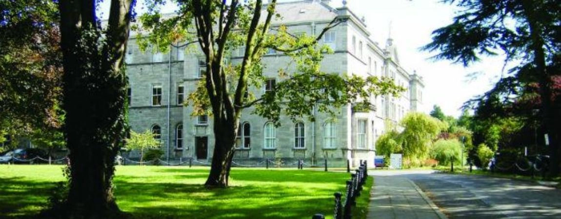 MIE Campus Building Banner LARGE