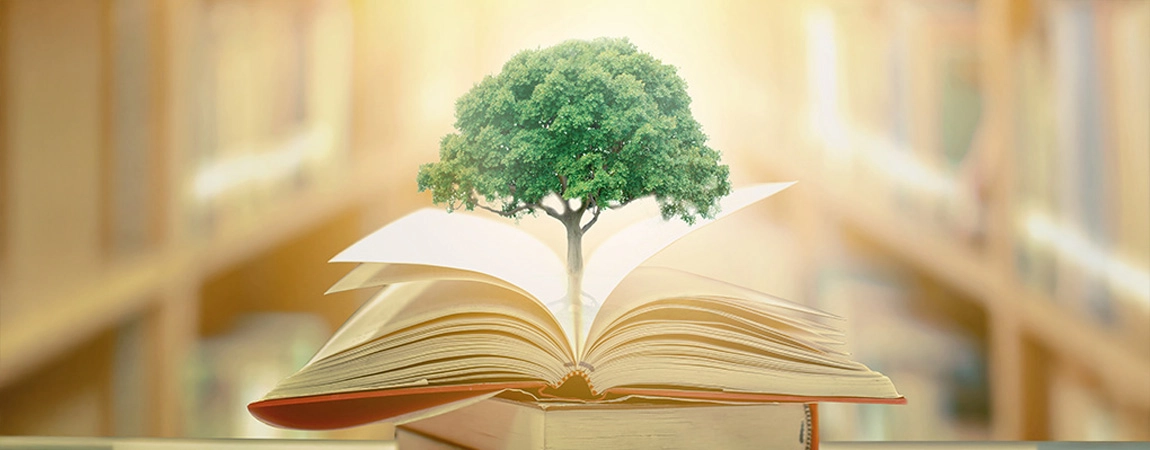 A symbolic representation of knowledge nurturing growth