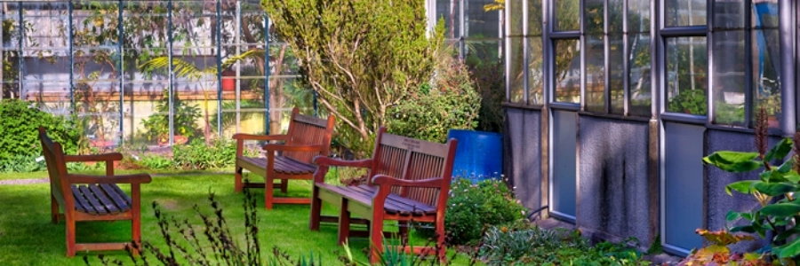 Botanic Gardens with glasshouses and benches.