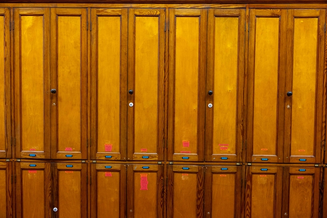 Cabinets in the world flowering plant herbarium in Trinity College Dublin. 