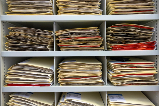  Working with specimens in Trinity College Dublin Herbarium.