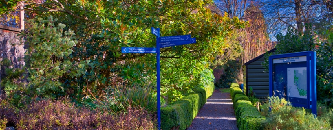Garden walkway on Trinity College Dublin Campus.