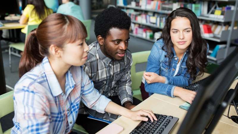 International Management programme overview img