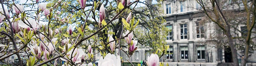 Trinity College Campus Flowers