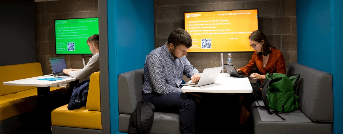 Students studying in the Trinity Arts Block cubicles