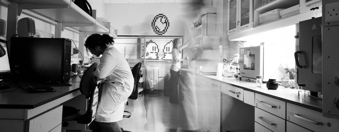 Two scientists in a research lab in Crann