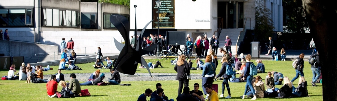 Student life on campus beside cactus