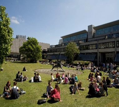Students sitting on the grass at Fellows' Square