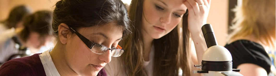 A close up image of two students writing