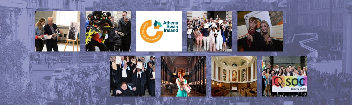 A mixture of images from the equality website TCD