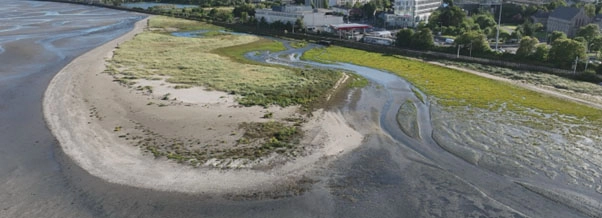 Booterstown coastal image