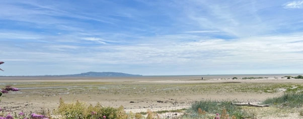 CoastSnap beach coast image