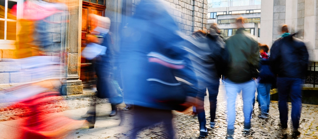 colour palette medium