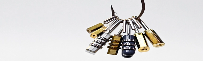 Metal locks hanging from a metal ring