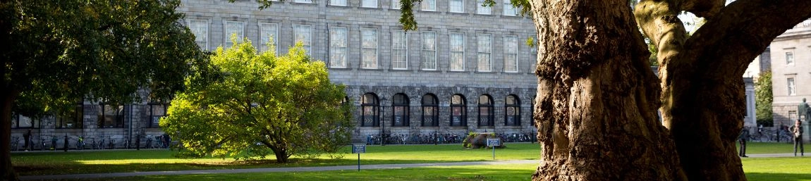A green space with large trees facing the Old Library.