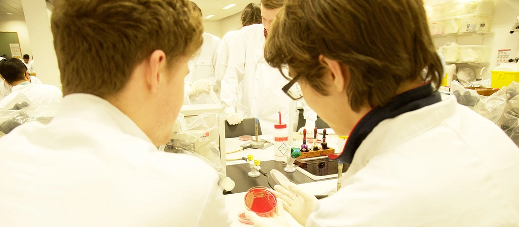 Feature Image alternative text