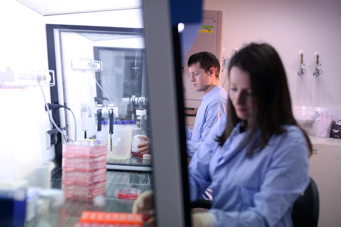 Postgraduate students working in laboratory.
