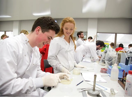 Two researchers in a lab