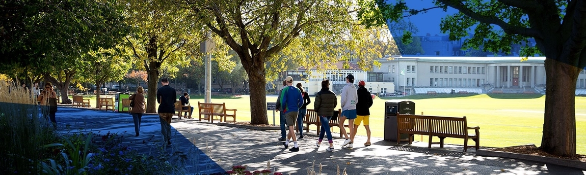 students standing by benches and trees on campus across from cricket pitch with blue accents in corner