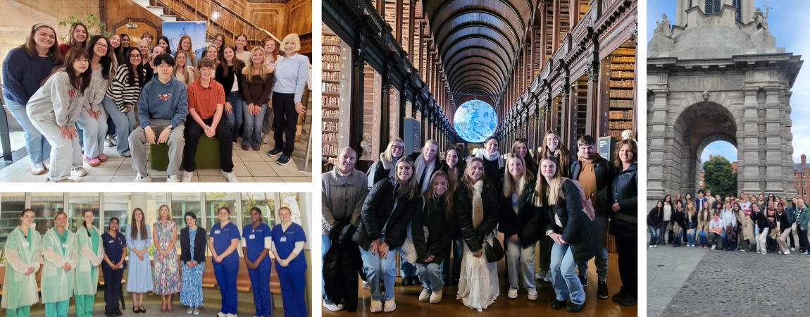 International summer school activities