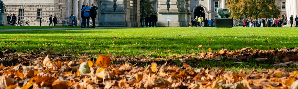 Leaves on the lawn of Front Square, Trinity College Dublin
