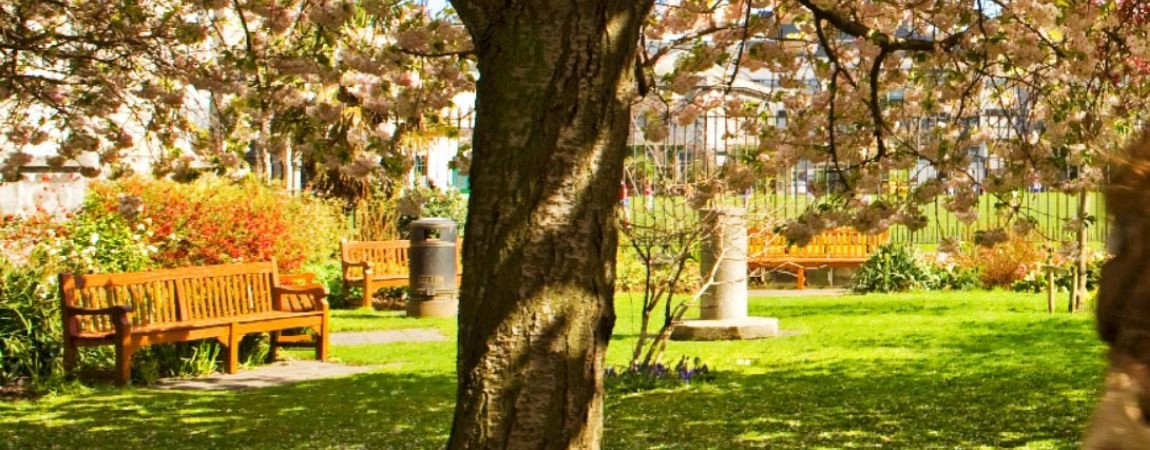 An image of a garden bench in the grounds of Trinity College Dublin