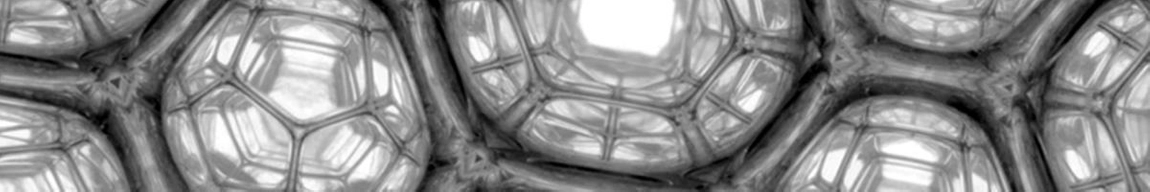 Nanobiophysics Soft Matter Letterbox Image