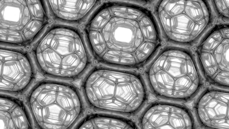 Image depicting Nanobiophysics / Soft Matter