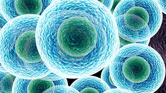 cancer cell