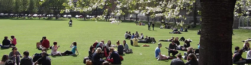 Groups of students sitting on the lawn in Trinity