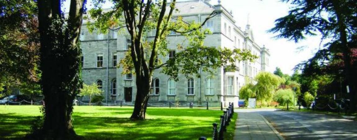 MIE Campus Building Banner LARGE