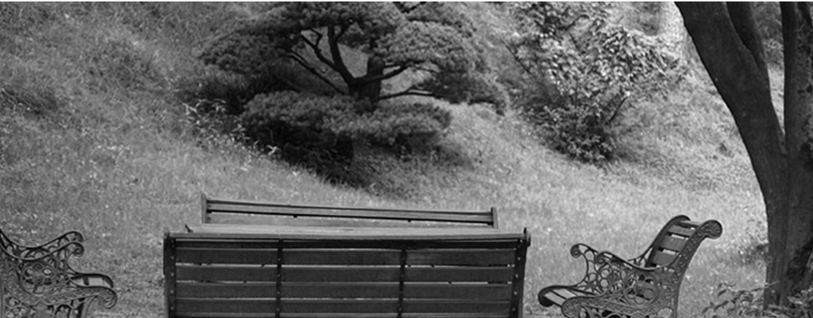 a bench in a field