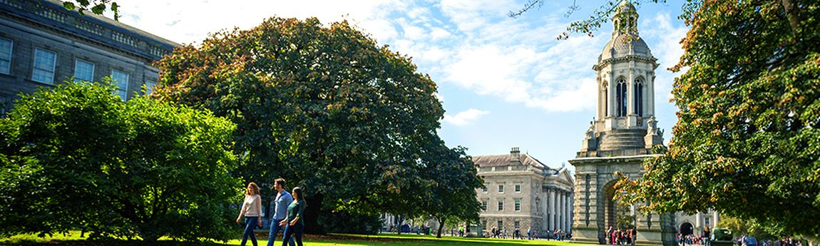 About Welcome, TCD