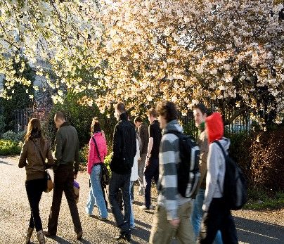 Group of students walking on campus