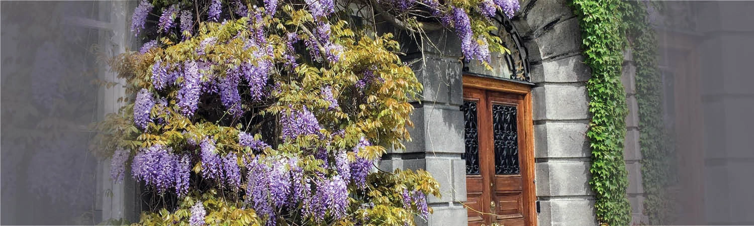 Botany building, Trinity College Dublin.