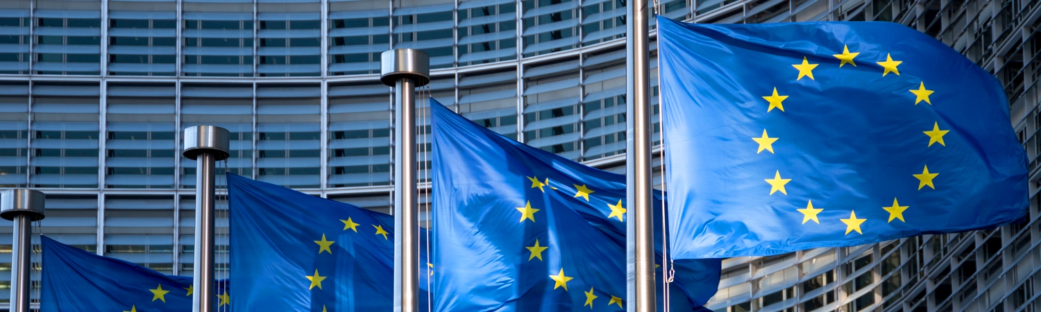 EU flags