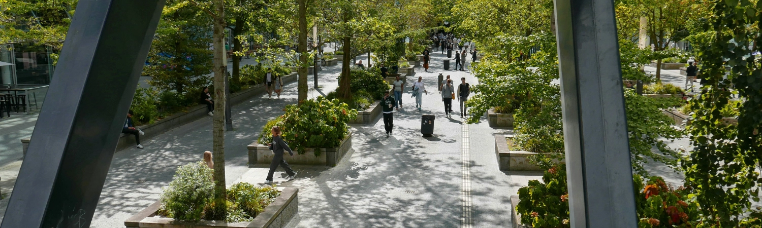 A group of people walking below a canopy of trees in a city