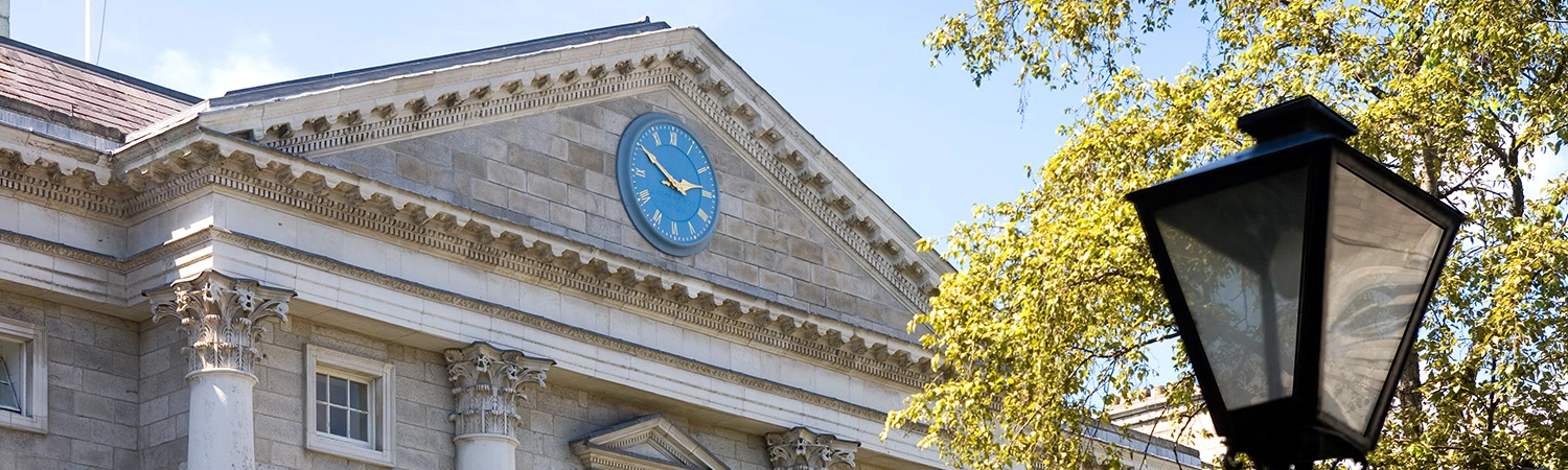 View Front Gate of Trinity College with tree and lamppost