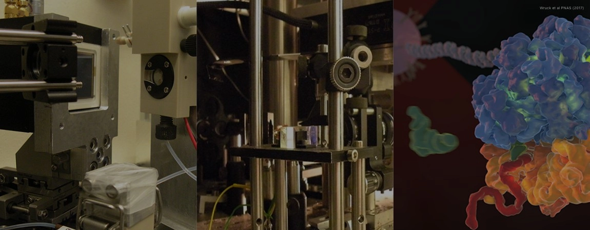 Nanobio - Nanomechanics Group Homepage Image