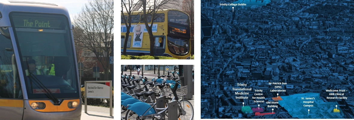 collage of different modes of dublin transport