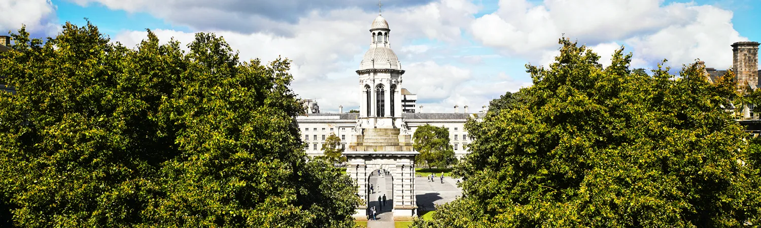 Home Campanile Trees